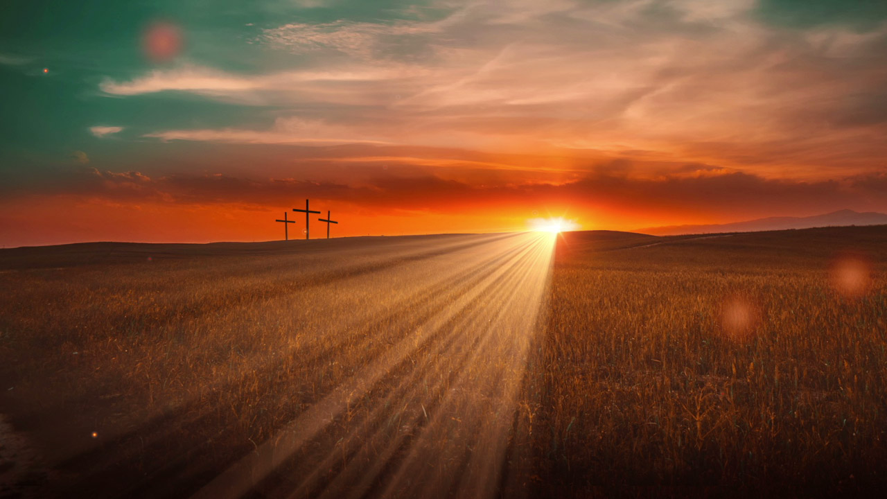 St Peter's Prestbury Newsletter number 4