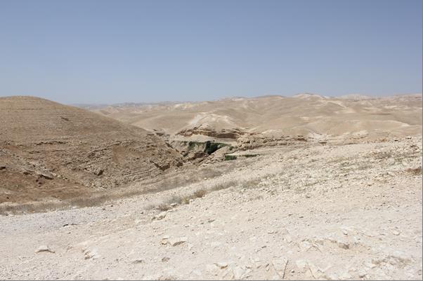 Wadi Qelt: Judean Desert 1. Image for Ash Wednesday