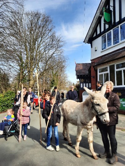 May nl Donkeys